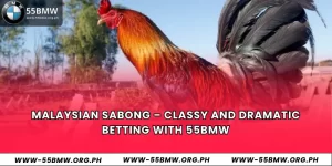 Malaysian Sabong