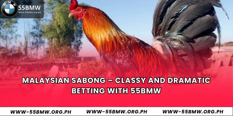 Malaysian Sabong