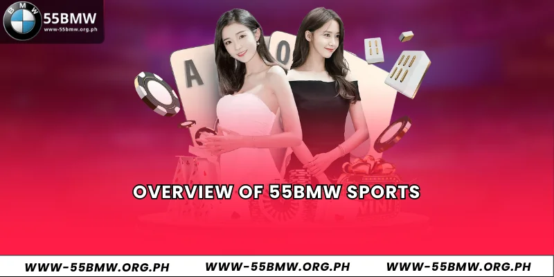 Overview of 55BMW Sports