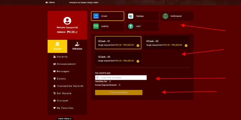 Select payment method, enter amount and deposit