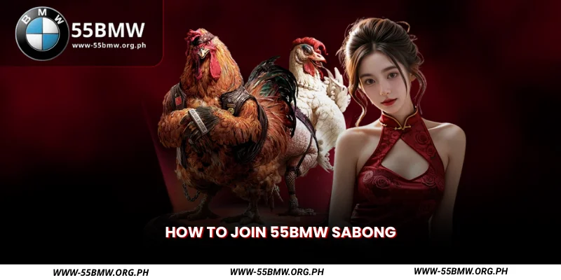 How to Join 55BMW Sabong