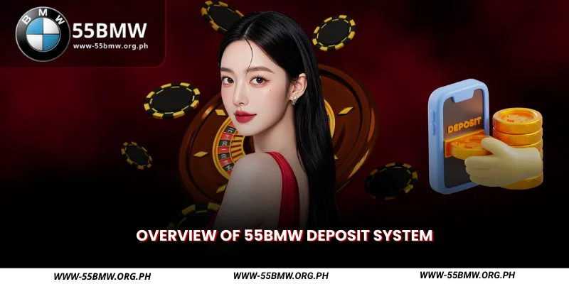 overview of 55bmw deposit system