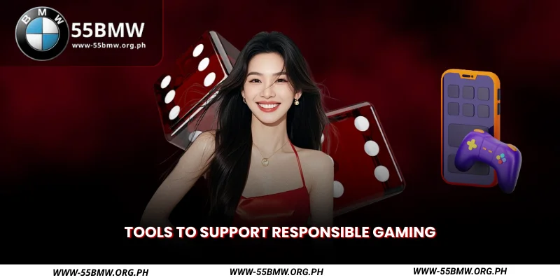 tools to support responsible gaming